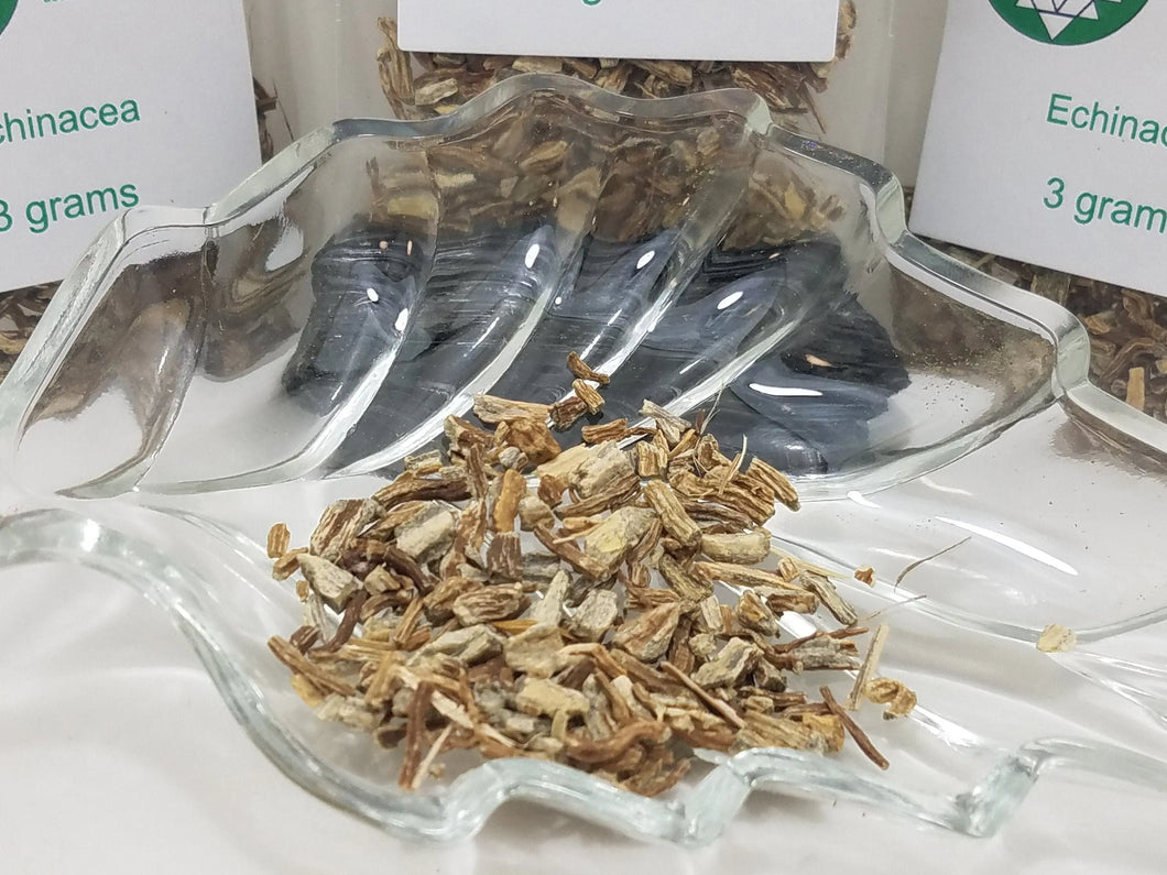 Echinacea Angustifolia Root Echinacea Angustifolia Root - Herbal Remedy, Common Cold and Flu In Spyrit Metaphysical