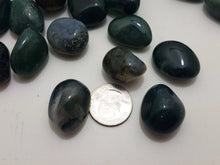 Load image into Gallery viewer, Moss Agate Moss Agate In Spyrit Metaphysical
