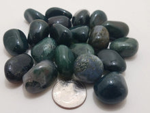 Load image into Gallery viewer, Moss Agate Moss Agate In Spyrit Metaphysical
