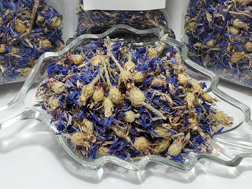 Purple Cornflower Purple Cornflower In Spyrit Metaphysical