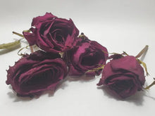 Load image into Gallery viewer, Red Rose with Stem Red Rose with Stem- Dried In Spyrit Metaphysical
