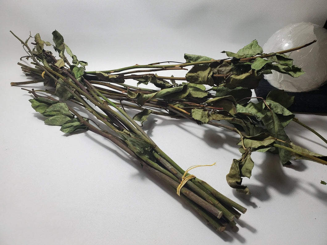 Rose Stems Dried - Love, Psychic Powers, Healing, Love Divination