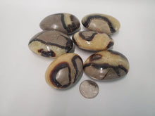 Load image into Gallery viewer, septarian Septarian Palm Stones - Confidence, Patience, Strength In Spyrit Metaphysical
