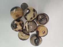 Load image into Gallery viewer, Septarian Pebbles - Confidence, Patience, Strength freeshipping - In Spyrit Metaphysical

