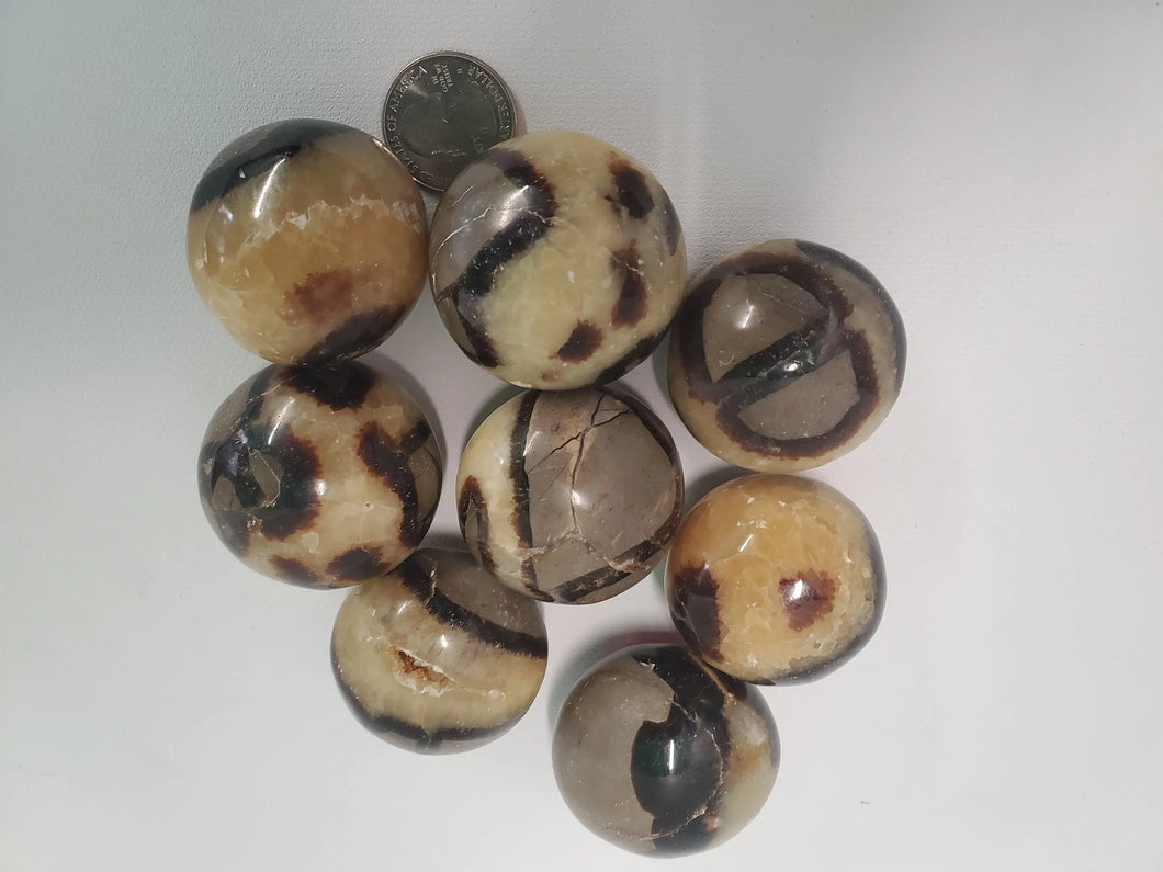 Septarian Pebbles - Confidence, Patience, Strength freeshipping - In Spyrit Metaphysical