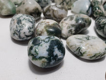 Load image into Gallery viewer, Tree Agate Tree Agate In Spyrit Metaphysical
