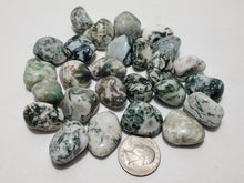 Load image into Gallery viewer, Tree Agate Tree Agate In Spyrit Metaphysical
