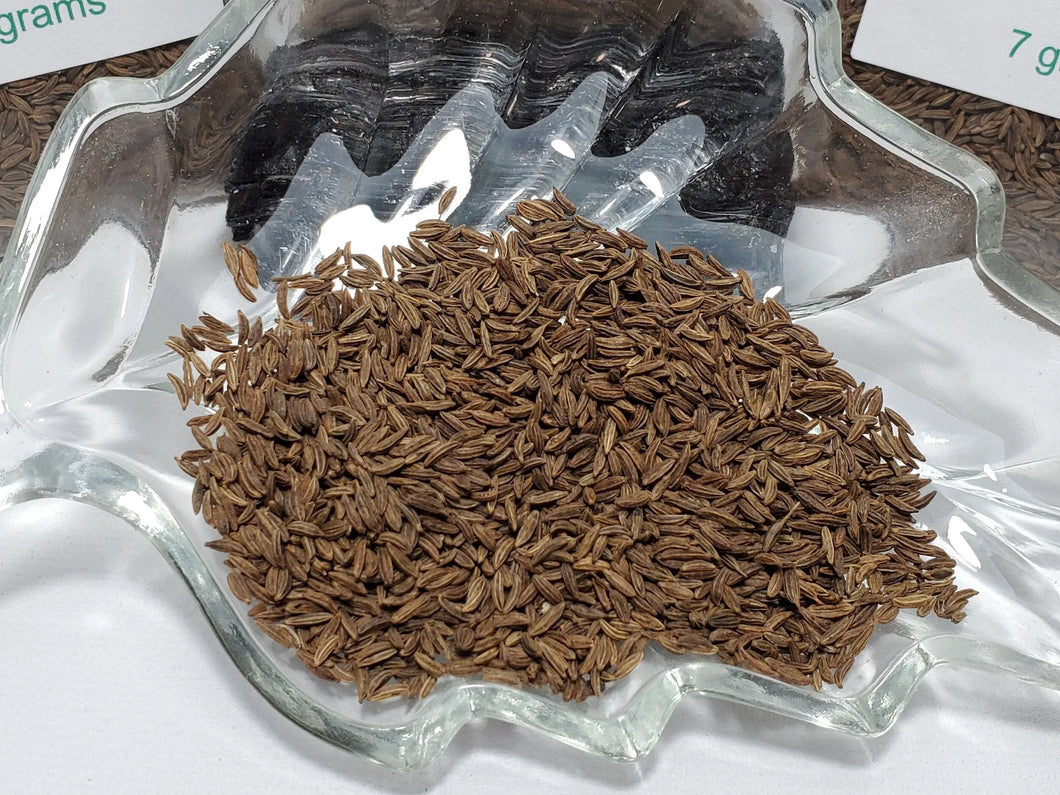 Caraway Seed Caraway Seed In Spyrit Metaphysical